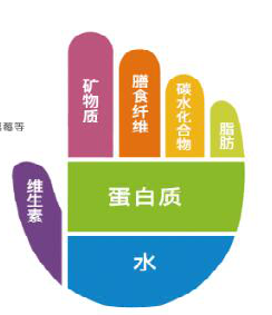 Monkeyso哪些方面与众不同? Monkeyso哪些方面与众不同?